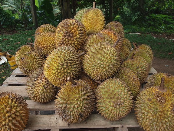 pile of durian fruit