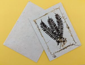 LoktaTripleFernCard1